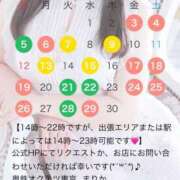 ヒメ日記 2026/04/03 12:00 投稿 まりか 奥鉄オクテツ東京店（デリヘル市場）