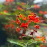 ヒメ日記 2026/03/26 17:47 投稿 るあ Sナース女学園