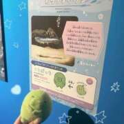 ヒメ日記 2026/03/29 07:01 投稿 ふゆ with SPA (ウィズスパ)