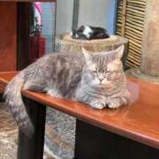 ヒメ日記 2026/03/14 13:03 投稿 もあ ドM女学園大阪