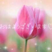 ヒメ日記 2026/03/14 08:39 投稿 みお 一夜妻