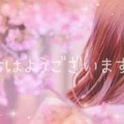 ヒメ日記 2026/03/28 08:39 投稿 みお 一夜妻