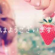 ヒメ日記 2026/04/25 08:59 投稿 みお 一夜妻