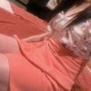 朝霧　あお あおです🌷 雅(みやび)