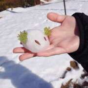 ヒメ日記 2026/03/05 14:00 投稿 内山 麦 人妻セレブ宮殿