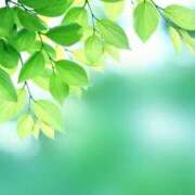 ヒメ日記 2026/03/11 08:15 投稿 内山 麦 人妻セレブ宮殿