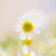 ヒメ日記 2026/03/11 10:00 投稿 内山 麦 人妻セレブ宮殿