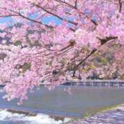 ヒメ日記 2026/04/09 18:03 投稿 内山 麦 人妻セレブ宮殿