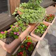 ヒメ日記 2026/04/11 10:30 投稿 内山 麦 人妻セレブ宮殿