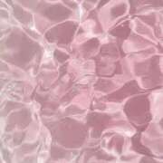 ヒメ日記 2026/03/05 01:01 投稿 新人・桜(さくら) グランドオペラ福岡