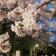 ヒメ日記 2026/03/10 07:21 投稿 川村みさ 大人のエッチなエステ