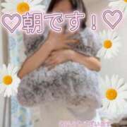 ヒメ日記 2026/05/01 07:33 投稿 くろな　奥様 SUTEKIな奥様は好きですか?