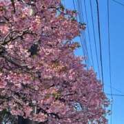 花奏／かなで ご予約ありがとうございます🙏 埼玉ミセスアロマ（ユメオト）