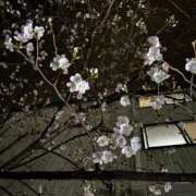 ヒメ日記 2026/03/20 12:11 投稿 レン ドMなバニーちゃん大宮店