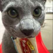 ヒメ日記 2026/03/08 09:46 投稿 ひより 2980円（にゃんきゅっぱ）