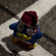 ヒメ日記 2026/04/18 13:55 投稿 愛華【エステ限定】 ファッションヘルス カリスマ