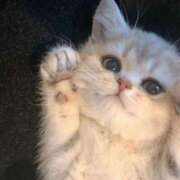 ヒメ日記 2026/03/24 01:48 投稿 ろあ パイレーツ