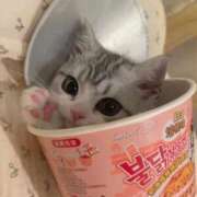 ヒメ日記 2026/03/25 01:28 投稿 ろあ パイレーツ