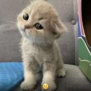 ヒメ日記 2026/04/05 00:58 投稿 ろあ パイレーツ