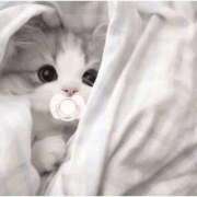 ヒメ日記 2026/04/14 01:18 投稿 ろあ パイレーツ