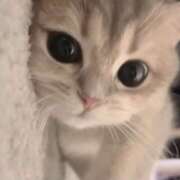 ヒメ日記 2026/04/30 01:00 投稿 ろあ パイレーツ