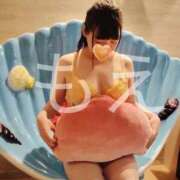 ヒメ日記 2026/04/30 12:21 投稿 もえ 長野飯田ちゃんこ