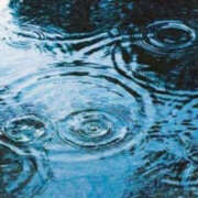 ヒメ日記 2026/04/10 12:41 投稿 高瀬りょうこ ワイフコレクション