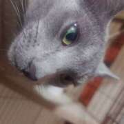 ヒメ日記 2026/03/26 13:46 投稿 りんご 2980円（にゃんきゅっぱ）