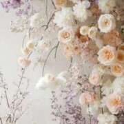 ヒメ日記 2026/03/29 11:13 投稿 まゆ 熟女の風俗最終章 新潟店