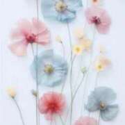 ヒメ日記 2026/03/29 16:13 投稿 まゆ 熟女の風俗最終章 新潟店