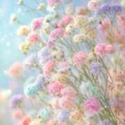 ヒメ日記 2026/04/06 13:53 投稿 まゆ 熟女の風俗最終章 新潟店