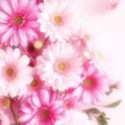 ヒメ日記 2026/04/10 20:35 投稿 まゆ 熟女の風俗最終章 新潟店