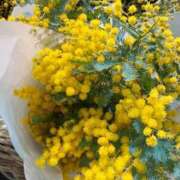 ヒメ日記 2026/03/07 12:02 投稿 かぜ 熟女の風俗最終章 新宿店