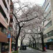 ヒメ日記 2026/03/21 11:12 投稿 なぎさ★国宝級の和風美少女★ Chloe鶯谷・上野店 S級素人清楚系デリヘル