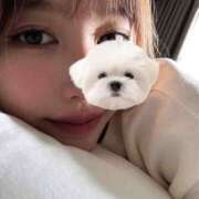 なみか m(._.)m 世界のあんぷり亭 錦糸町店