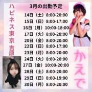 ヒメ日記 2026/03/13 09:06 投稿 かえで ハピネス東京 吉原店