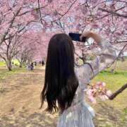 ヒメ日記 2026/03/27 12:49 投稿 みう 即舐め嬢