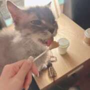 のの にゃんこの日🐈 即舐め嬢