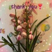 ヒメ日記 2026/03/07 00:00 投稿 さくら 和楽(わらく)