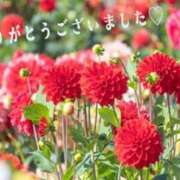 ヒメ日記 2026/08/30 22:45 投稿 咲奈(さな) 相模原人妻城