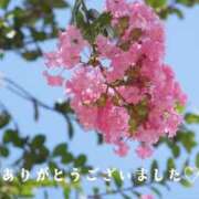 ヒメ日記 2026/09/04 23:45 投稿 咲奈(さな) 相模原人妻城