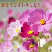 ヒメ日記 2026/09/13 23:05 投稿 咲奈(さな) 相模原人妻城