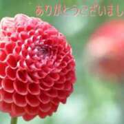 ヒメ日記 2026/09/18 18:25 投稿 咲奈(さな) 相模原人妻城