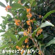 ヒメ日記 2026/09/18 18:45 投稿 咲奈(さな) 相模原人妻城