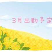 ヒメ日記 2026/03/04 10:00 投稿 早乙女うみ アラフォーna奥様 アラフィフna奥様（埼玉ハレ系）