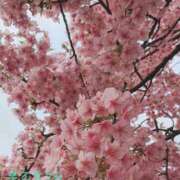 ヒメ日記 2026/03/07 20:01 投稿 早乙女うみ アラフォーna奥様 アラフィフna奥様（埼玉ハレ系）