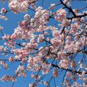 ヒメ日記 2026/03/15 16:40 投稿 早乙女うみ アラフォーna奥様 アラフィフna奥様（埼玉ハレ系）