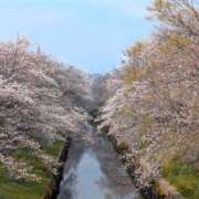 ヒメ日記 2026/03/30 14:57 投稿 早乙女うみ アラフォーna奥様 アラフィフna奥様（埼玉ハレ系）