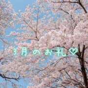 ヒメ日記 2026/03/31 20:07 投稿 早乙女うみ アラフォーna奥様 アラフィフna奥様（埼玉ハレ系）