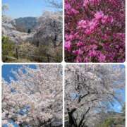 ヒメ日記 2026/04/03 20:16 投稿 早乙女うみ アラフォーna奥様 アラフィフna奥様（埼玉ハレ系）